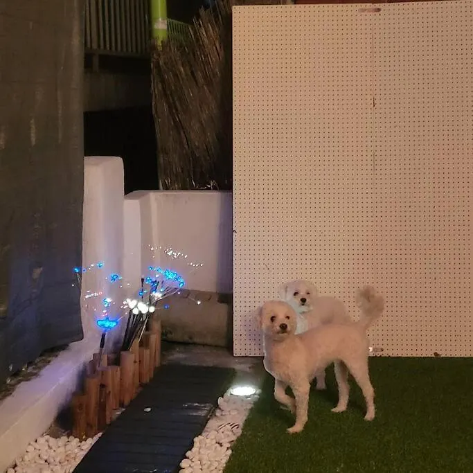 Large Garden House 5Min From Subway Villa Incheon 0*,  Korsel