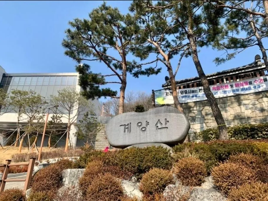 Large Garden House 5Min From Subway Villa Incheon
